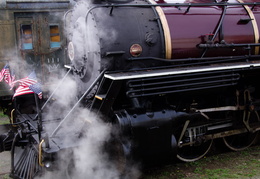 skunk train2011d26c044